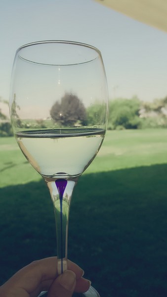 Wine Tasting at Domaine Wardy 
